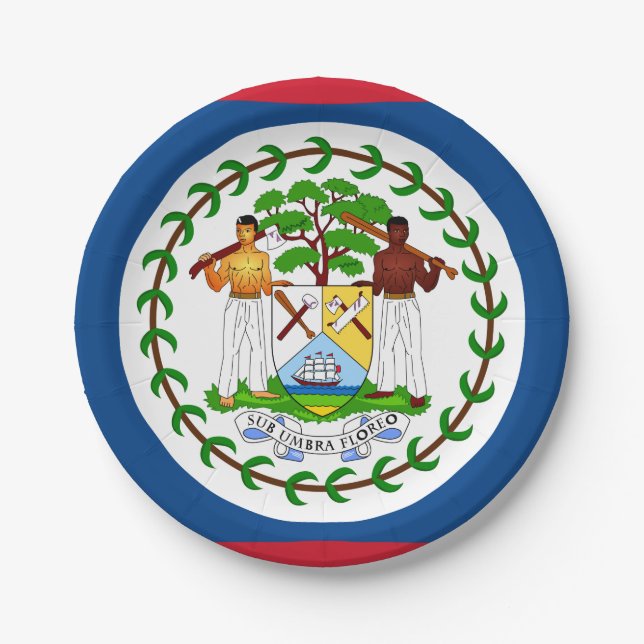 Assiettes En Carton Drapeau du Belize (Devant)