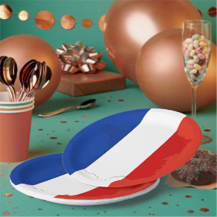 Assiettes En Carton drapeau français