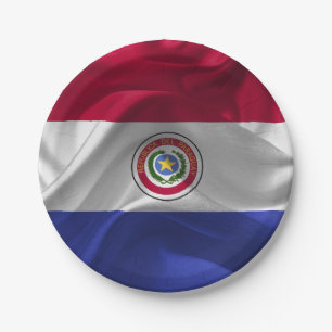 Assiettes En Carton Drapeau paraguayen