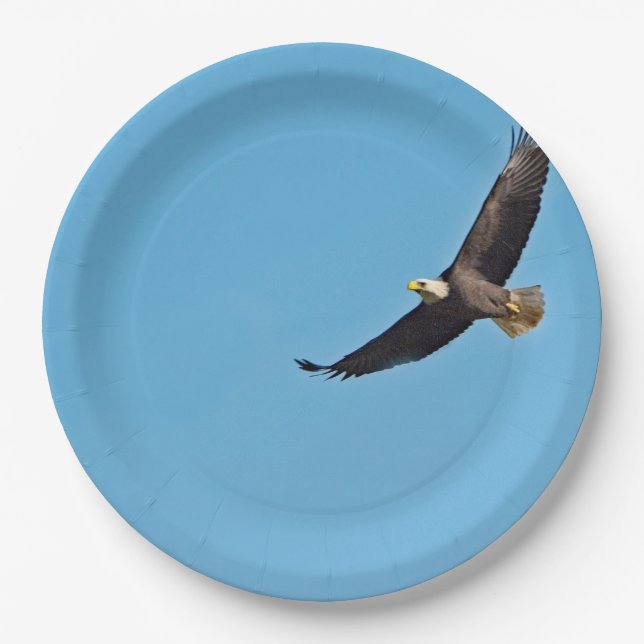 Assiettes En Carton Eagle chauve 7 (Devant)