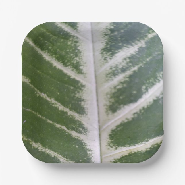 Assiettes En Carton Eco Harmony 7" Plaque papier Carré (Recto)