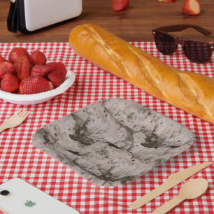 Assiettes En Carton Écorce de bouleau blanc
