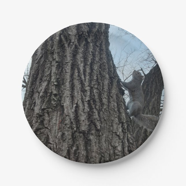 Assiettes En Carton Écureuil (Devant)