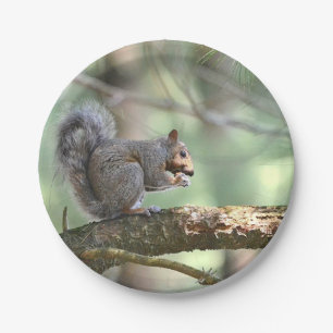 Assiettes En Carton Écureuil dans une plaque de papier forestier
