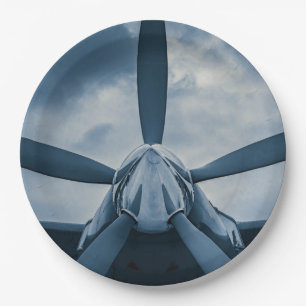 Assiettes En Carton Effacez Prop !