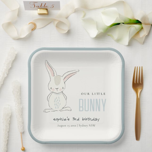 Assiettes En Carton Élégant Simple Cute Blue Bunny Boys Anniversaire d (Mariage)