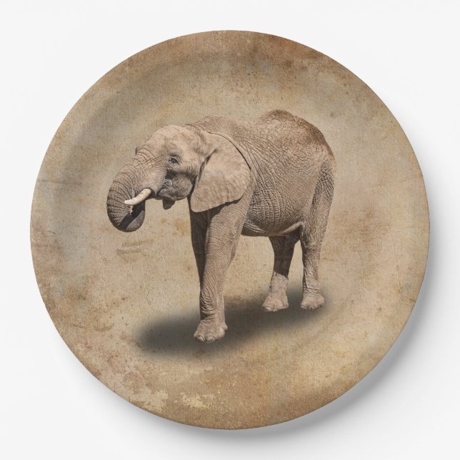 ASSIETTES EN CARTON ÉLÉPHANT (Devant)