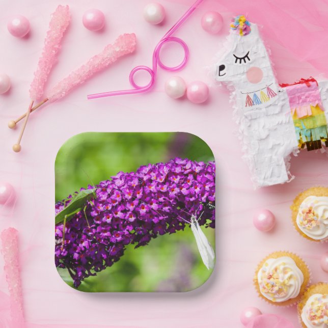 Assiettes En Carton énergie katydone (Fête)