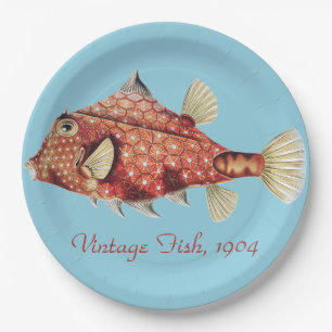 Assiettes En Carton Ernst Haeckel Coffre Nautique Rouge Faune Marine