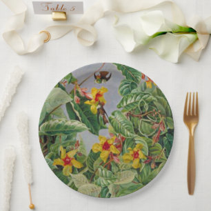 Assiettes En Carton Escalade brésilienne arbustes et oiseaux de mer