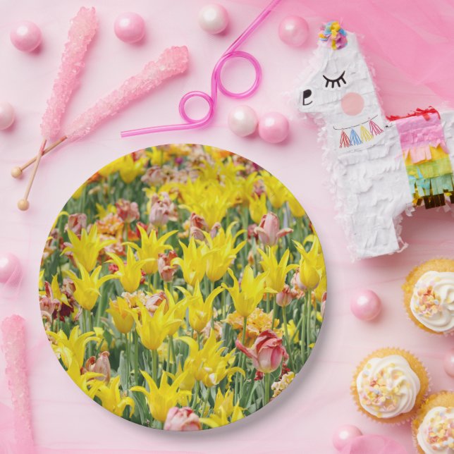 Assiettes En Carton Et la vie continue  (Fête)