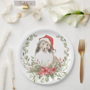 Assiettes En Carton Étagères dans un chapeau de Père Noël