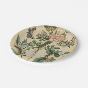 Assiettes En Carton Étapes de la vie de papillon par le studio de
