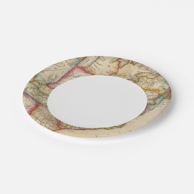 Assiettes En Carton États-Unis 11 (Angle)