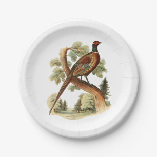 Assiettes En Carton Faisan ancien sur une branche avec dessin en coule