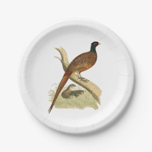 Assiettes En Carton Faisan vintage sur branche Dessin de gibier à plum