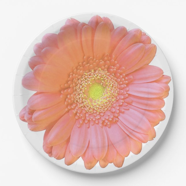 Assiettes En Carton Faisée de gerbera orange (Devant)