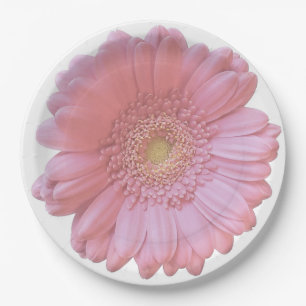 Assiettes En Carton Faisée de gerbera rose pâle