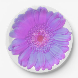 Assiettes En Carton Faisée de gerbera violette