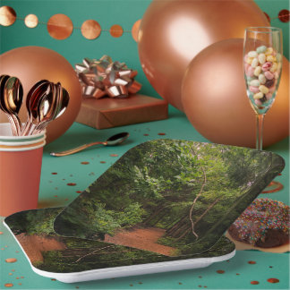 Assiettes En Carton Faites une randonnée ! Idée cadeau