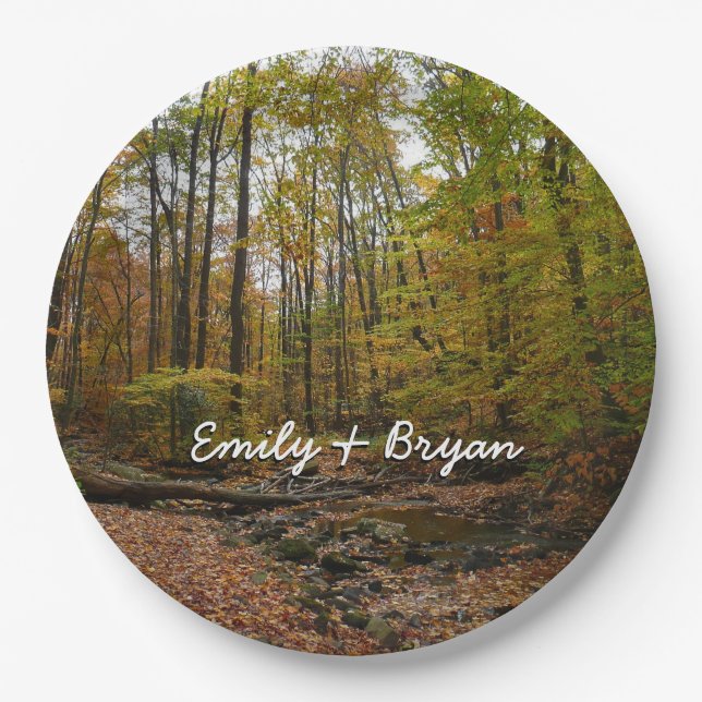 Assiettes En Carton Fall Creek à Laurel Hill State Park Pennsylvania (Devant)