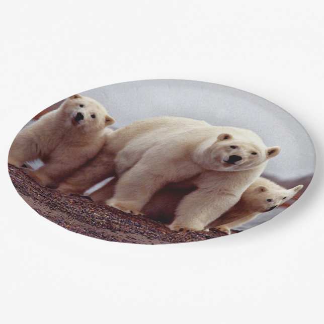 Assiettes En Carton Famille d'ours polaires (Angle)