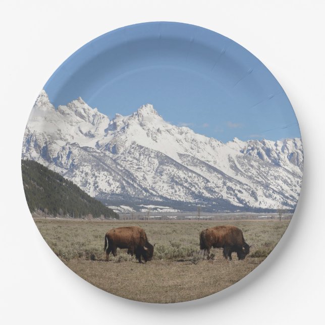 Assiettes En Carton Faune Monts Bison Photo Neige (Devant)