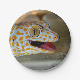 Assiettes En Carton Fermez-vous vers le haut du portrait du gecko de