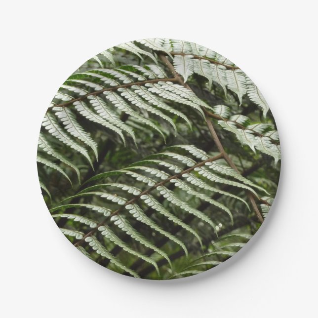 Assiettes En Carton Fern Fronds II Dark Green Nature (Devant)