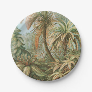 Assiettes En Carton Ferns, Filicinae Laubfarne par Ernst Haeckel