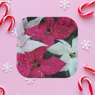 Assiettes En Carton Festive vacances Poinsettias Floral