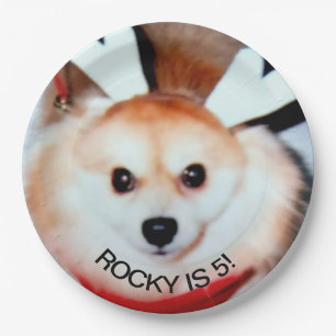 Assiettes En Carton Fête d'anniversaire de chien photo personnalisée