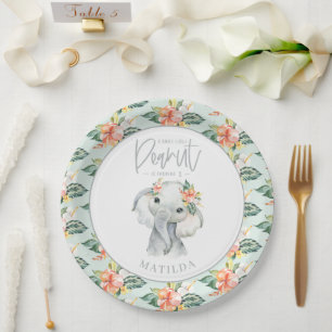 Assiettes En Carton Fête d'anniversaire de l'éléphant de la couleur