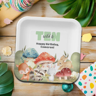 Assiettes En Carton Fête d'anniversaire des 10 ans Animaux mignons de 