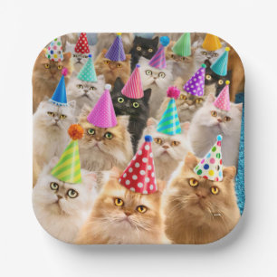 Assiettes En Carton Fête de chats