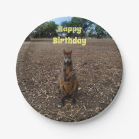 "Fête de la nature : un casse-croûte de Wallaby"