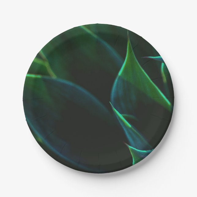 Assiettes En Carton Feuilles agaves (Devant)