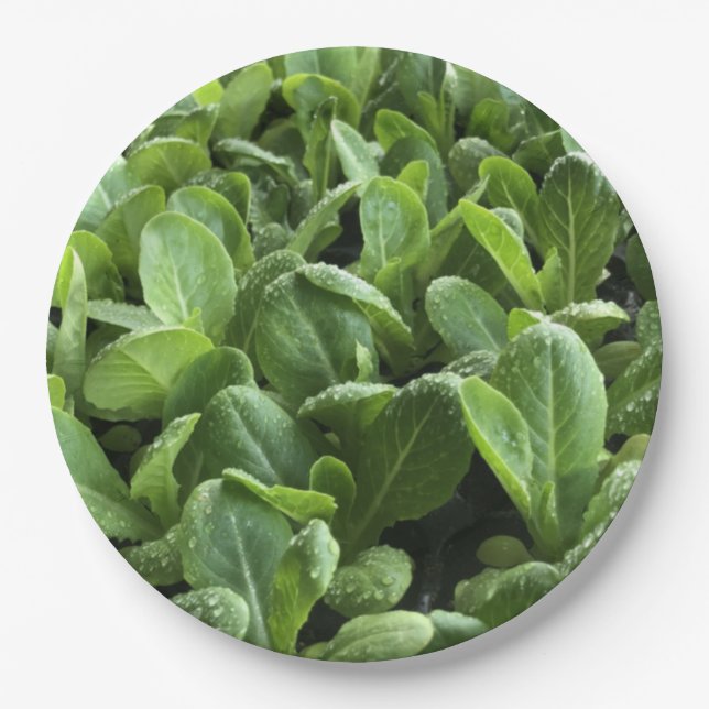 Assiettes En Carton Feuilles de salade pour Gardener nature amoureux d (Devant)