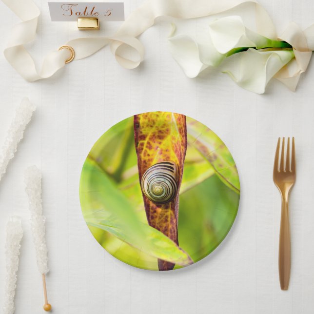 Assiettes En Carton fixation calme (Mariage)