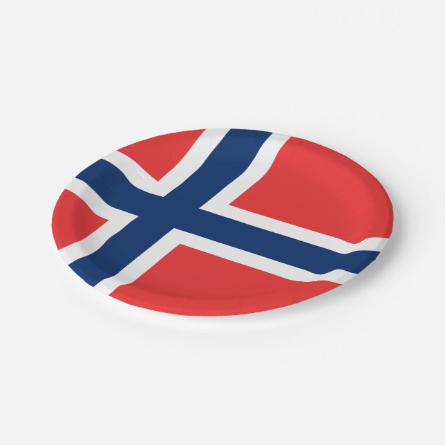 Assiettes En Carton Flag of Norway Party Plate (Angle)