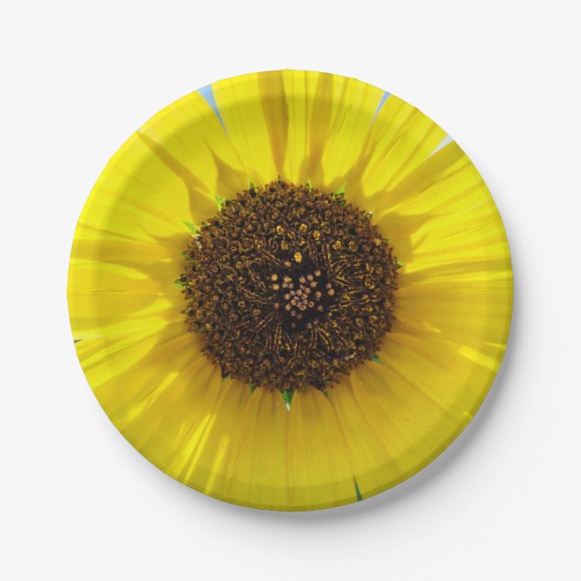 Assiettes En Carton Flamme de matin (Devant)