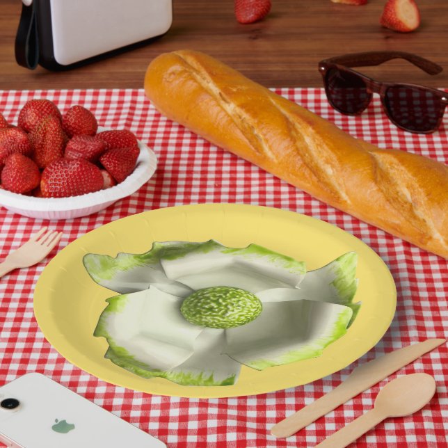 Assiettes En Carton Fleur amusante de marguerite printemps été mariage (Pique-nique)