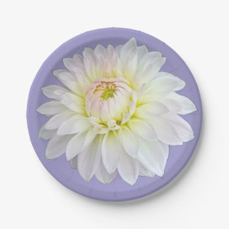 Assiettes En Carton Fleur blanche et jaune