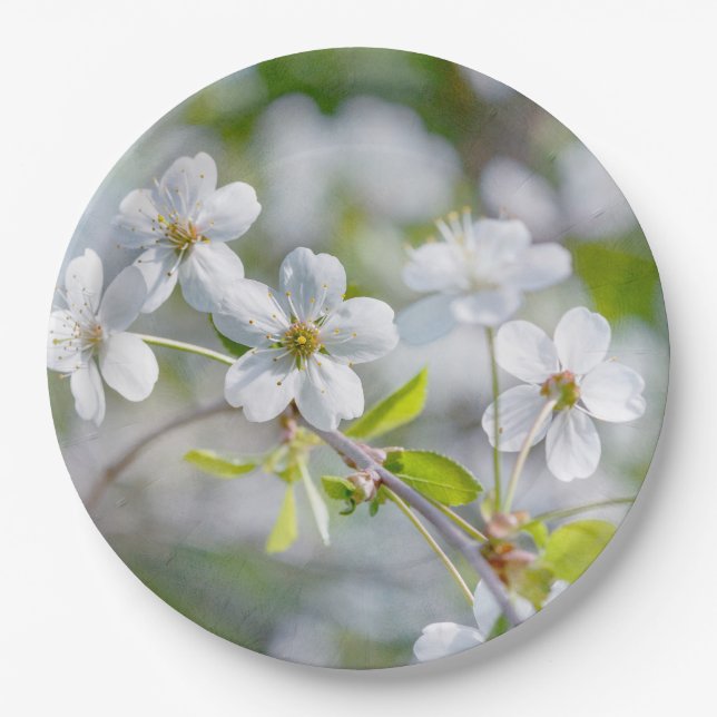 Assiettes En Carton Fleur de cerisier blanche (Devant)