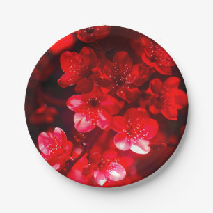 Assiettes En Carton Fleur de cerisier Twilight