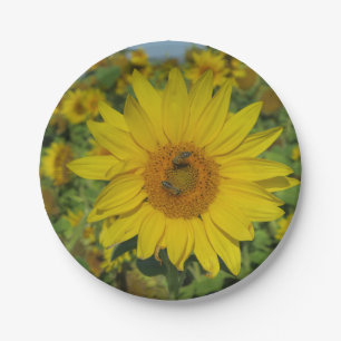 Assiettes En Carton fleur de soleil jaune