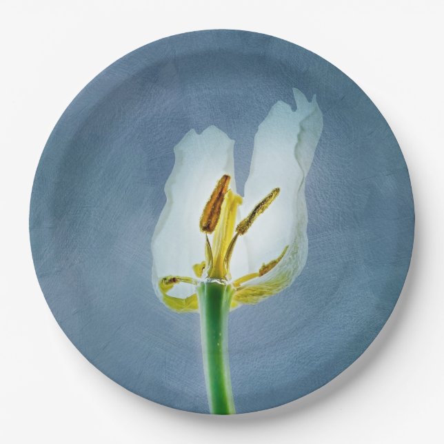 Assiettes En Carton Fleur de tulipe blanche (Devant)