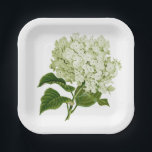 Assiettes En Carton Fleur d'hydrangée blanche et verte<br><div class="desc">Une illustration ancienne d'une fleur d'hydrangée verte et blanche légère au citron vert occupe le devant de la scène sur cette plaque de fête en papier et coordonne parfaitement avec divers événements allant des douches nuptiales aux baby showers et tout entre les deux.</div>