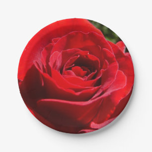 Assiettes En Carton Fleur rose rouge vif Belle florale