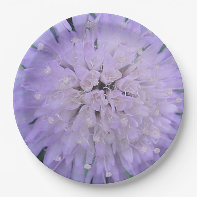 Assiettes En Carton Fleur violette (Devant)